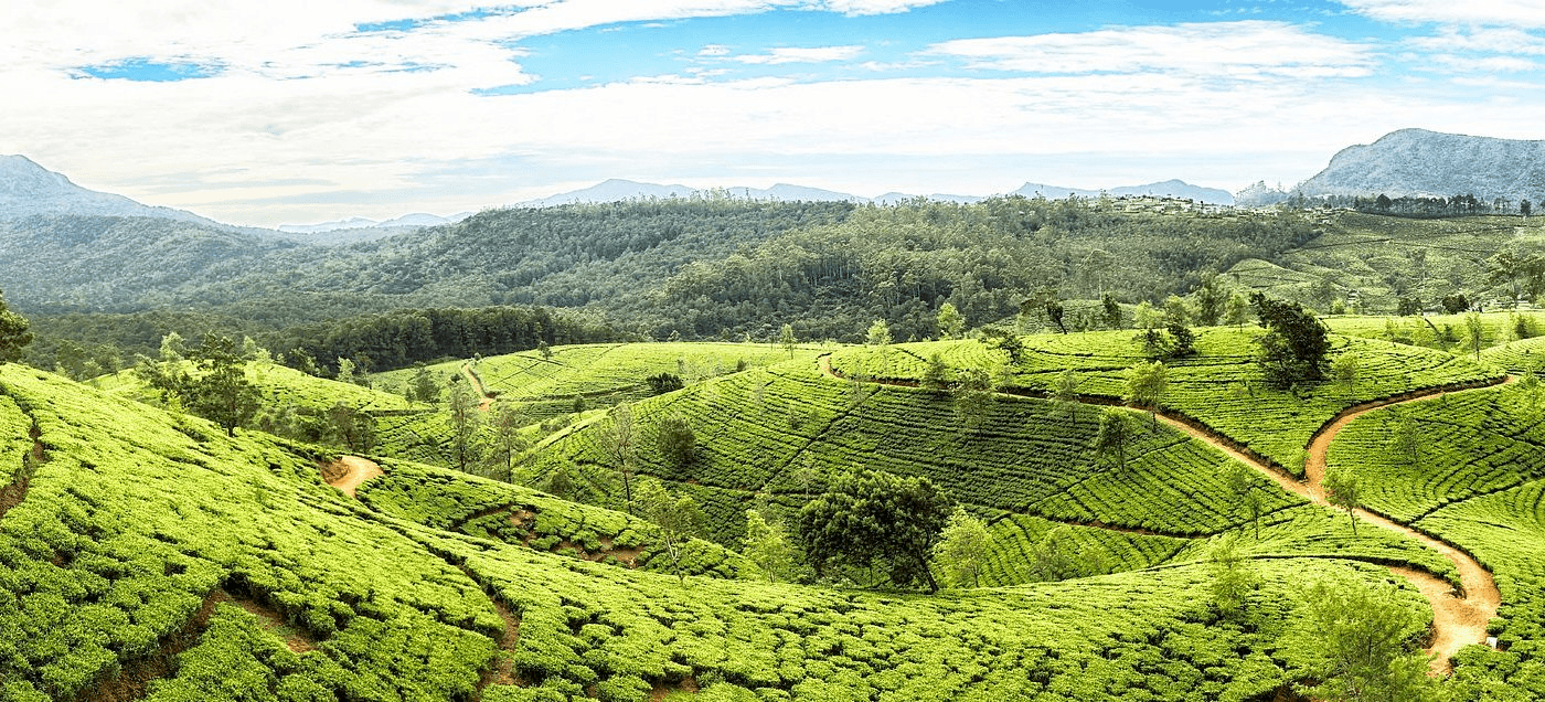 A brighter prospect - Sri Lanka